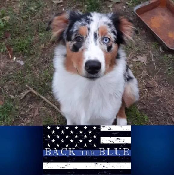 Meet your Posher, Justin - Picture 1 of 1